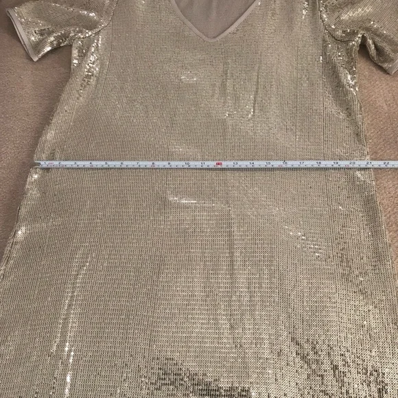 Silver Sequin Dress - Velvet by Graham & Spencer - Size L - Picture 5 of 9